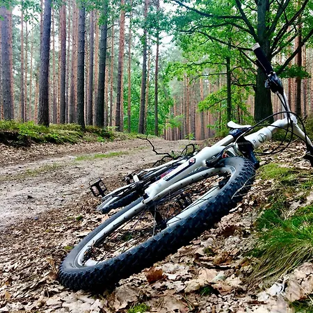 Wilcza Stodola ヴィラ *