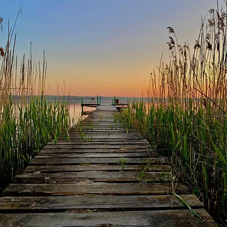 ヴィラ Wilcza Stodola