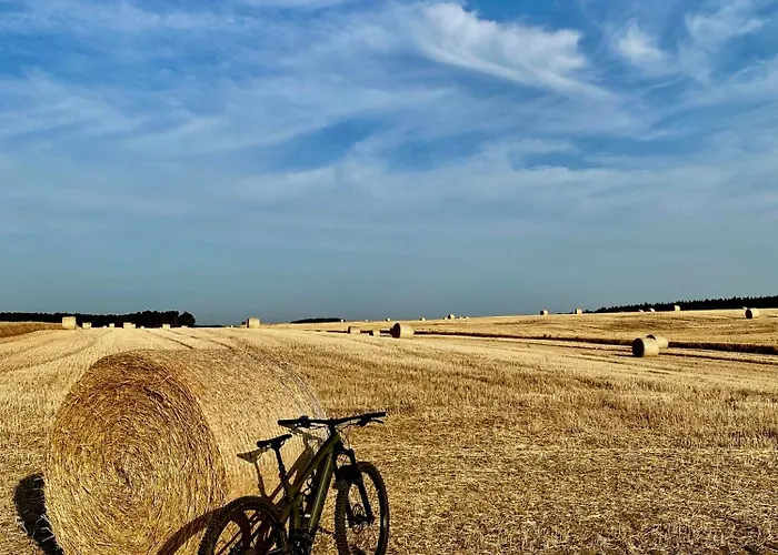 Villa Wilcza Stodola *