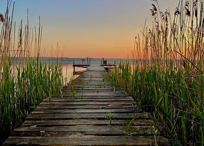 Villa Wilcza Stodola